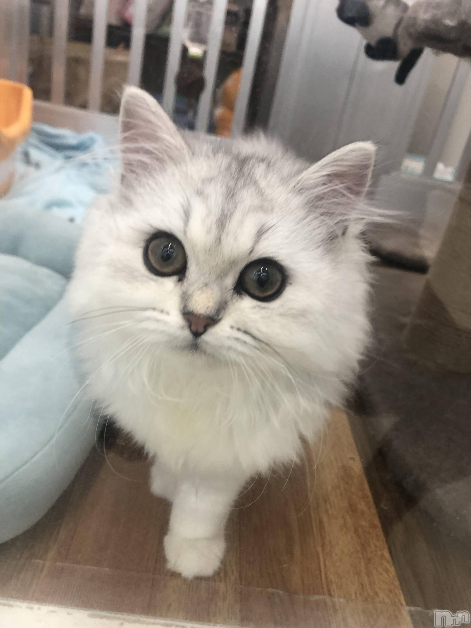 ��ˬ����Х��顦�����CLUB K����Prologue��(����֥���) ��2021ǯ11��14���̥�֥�����(♥)��