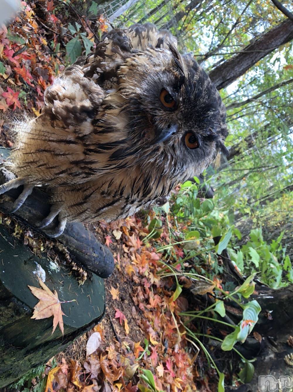 ��ˬ����Х��顦�����CLUB K����Prologue��(����֥���) ��2022ǯ3��23���̥�֥�����(♥)��