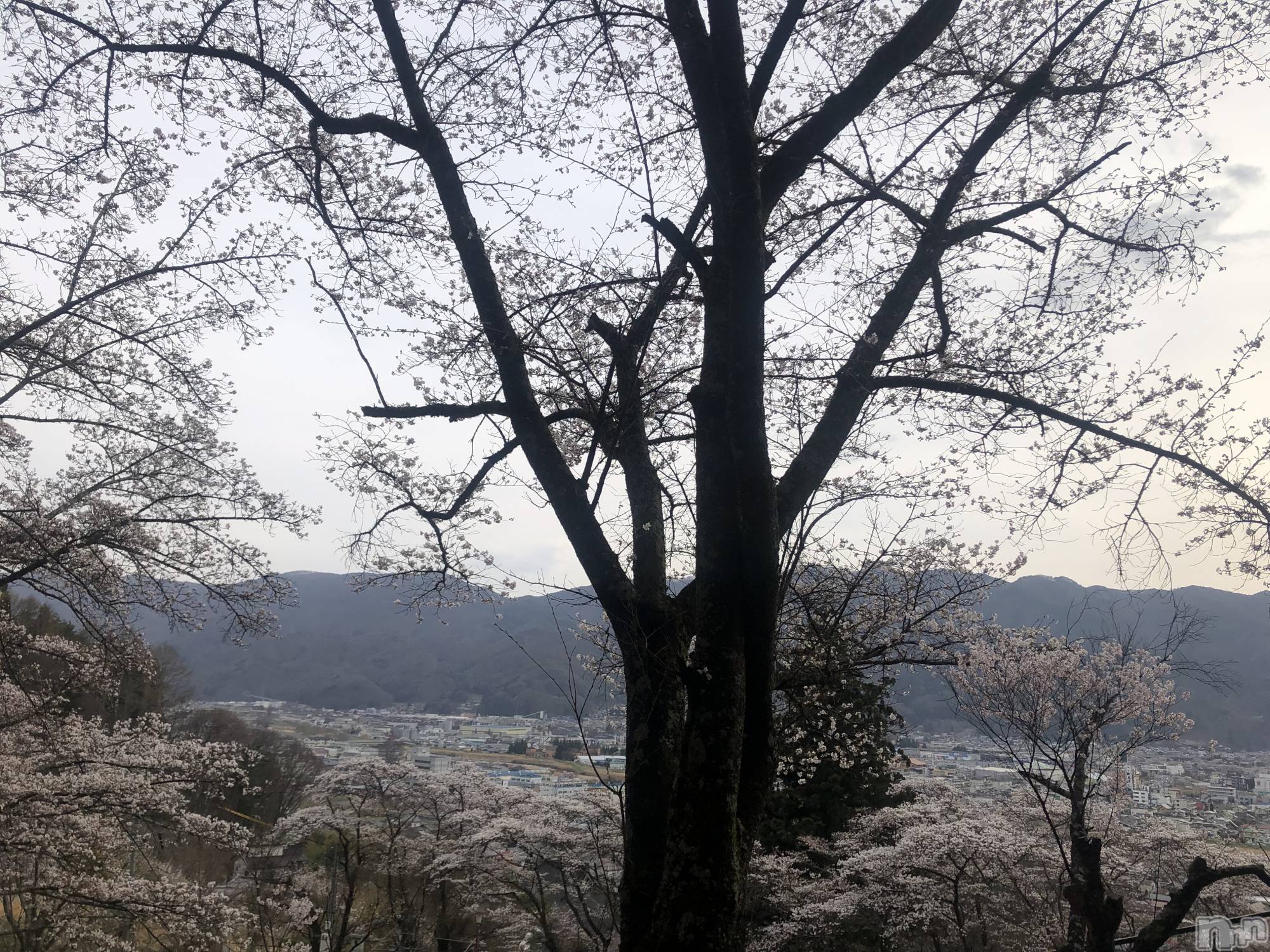 ��ˬ����Х��顦�����CLUB K����Prologue��(����֥���) ��2022ǯ4��21���̥�֥�����(♥)��