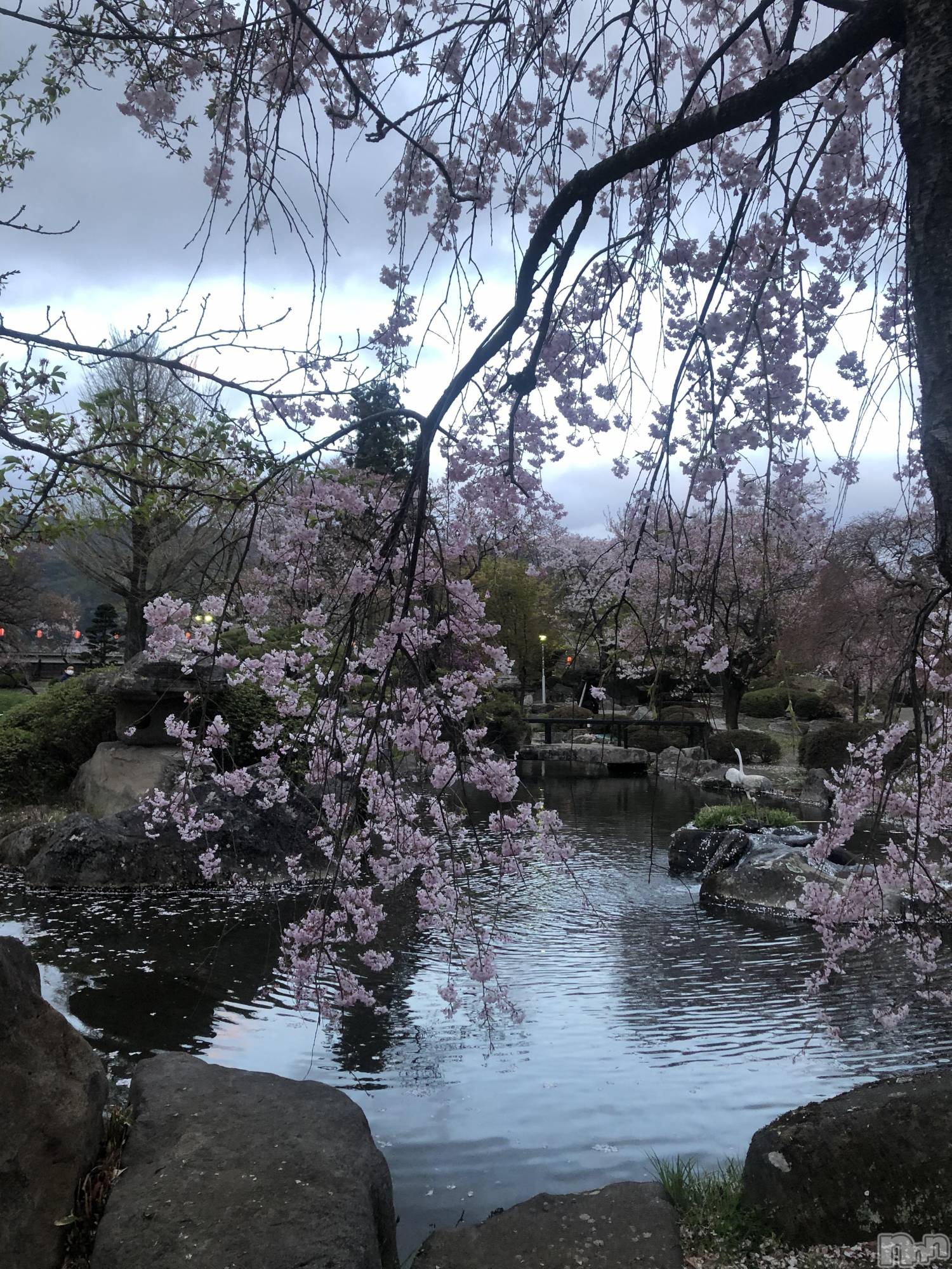 ��ˬ����Х��顦�����CLUB K����Prologue��(����֥���) ��2022ǯ4��26���̥�֥�����(♥)��