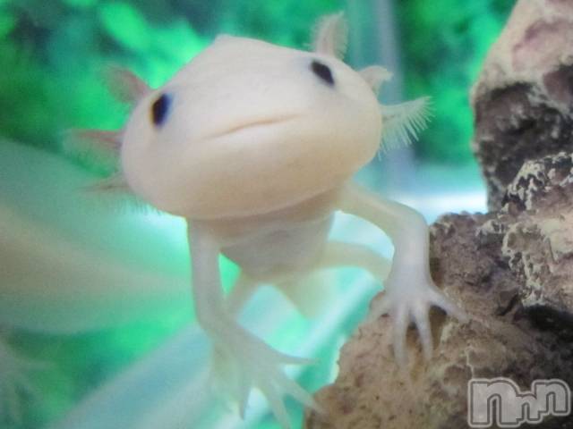 ��ˬ����Х��顦�����CLUB K����Prologue��(����֥���) ��2022ǯ5��15���̥�֥�����(♥)��