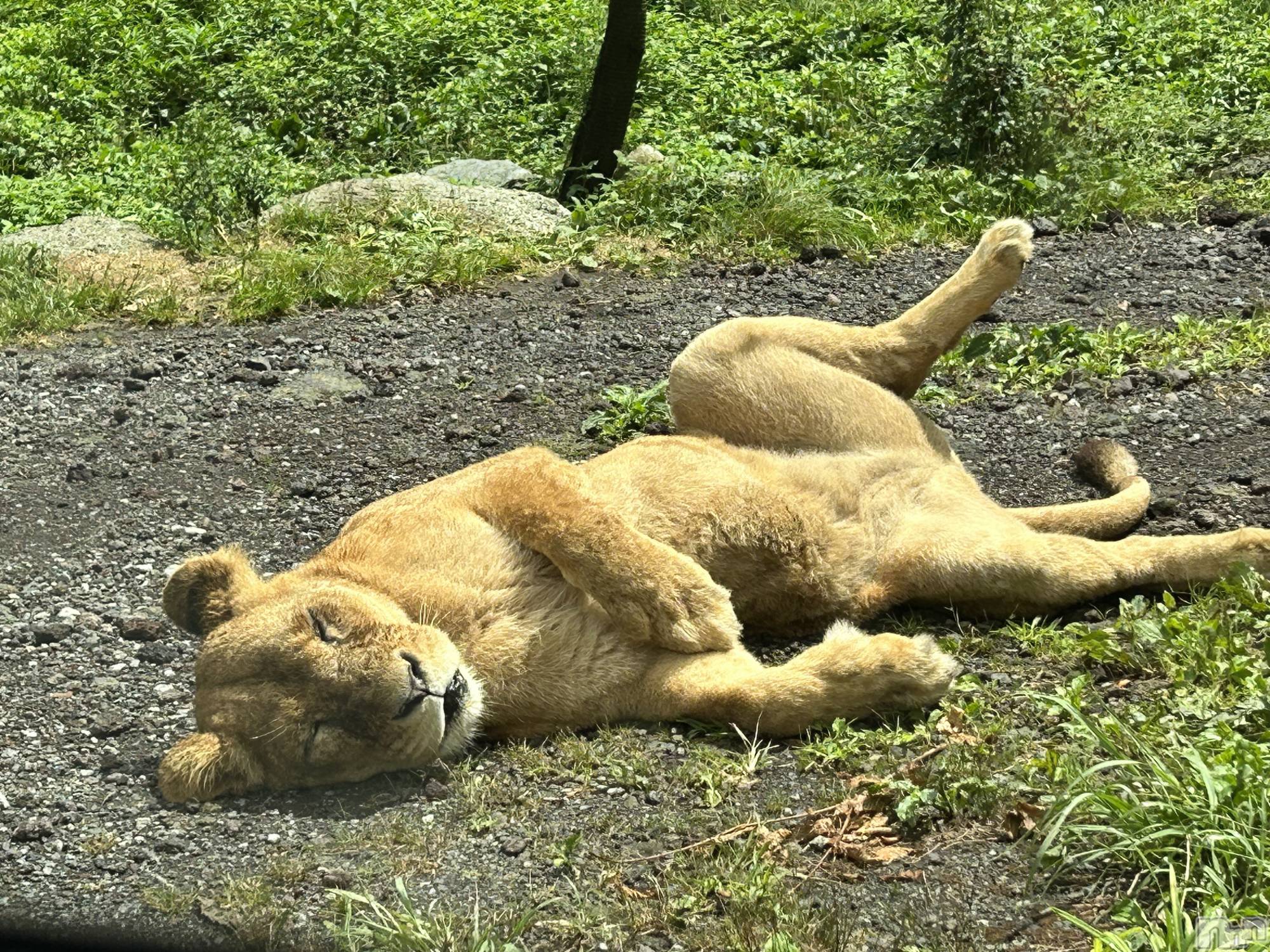 ��ˬ����Х��顦�����CLUB K����Prologue��(����֥���) ��2024ǯ3��6���̥�֥�����(♥)��