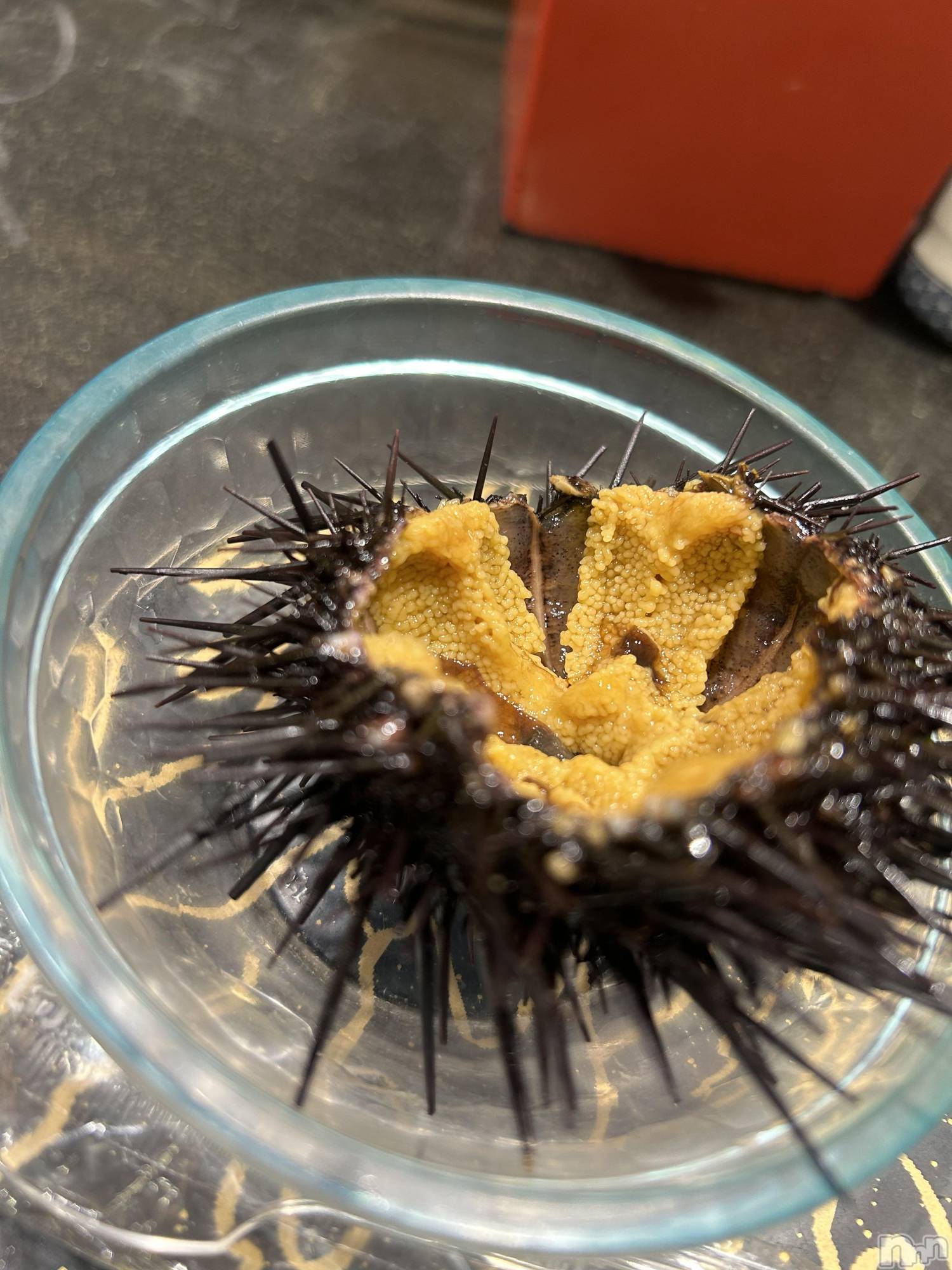 ��ˬ����Х��顦�����CLUB K����Prologue��(����֥���) ��2024ǯ3��14���̥�֥�����(♥)��