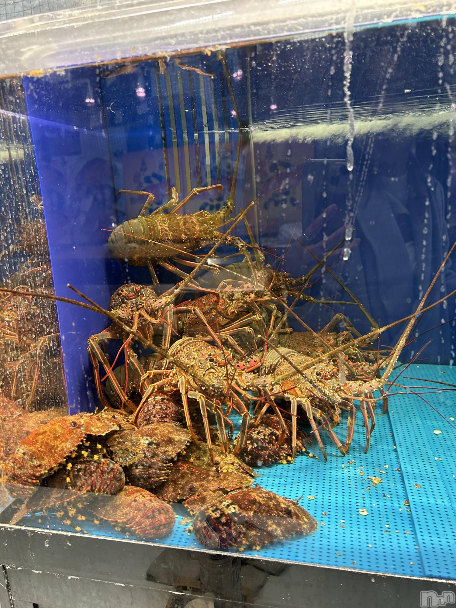 ��ˬ����Х��顦�����CLUB K����Prologue��(����֥���) ��2024ǯ6��11���̥�֥�����(♥)��