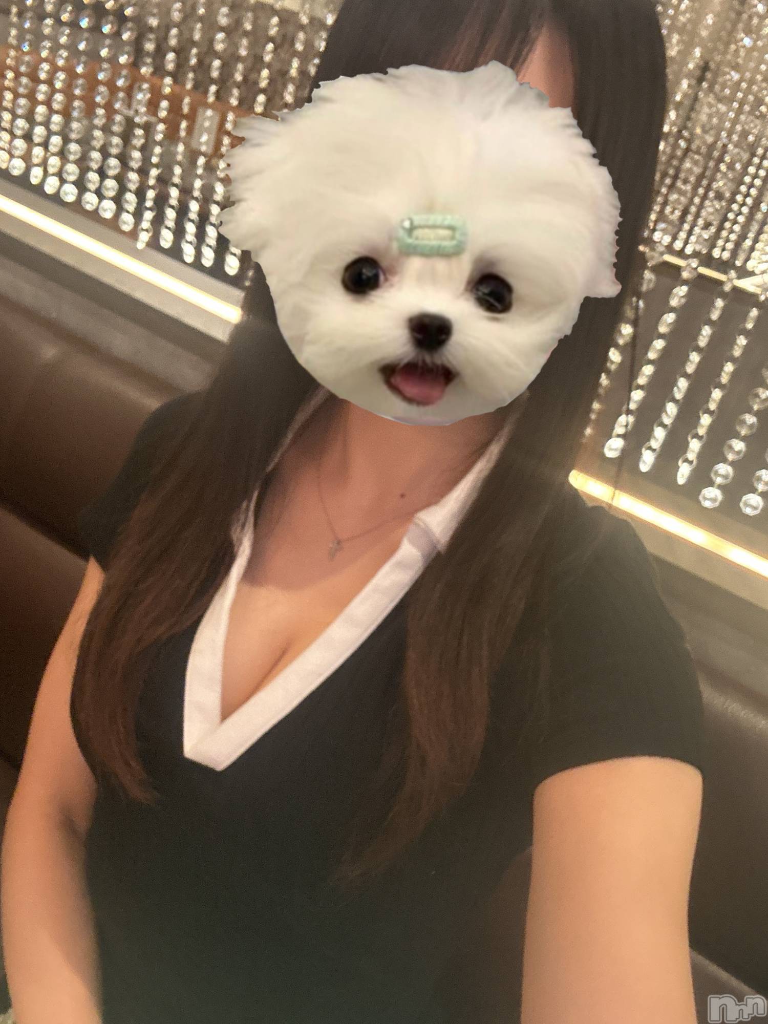 ��ˬ����Х��顦�����CLUB K����Prologue��(����֥���) ��2025ǯ2��2���̥�֥����֤ΤӤ���✂️✨��