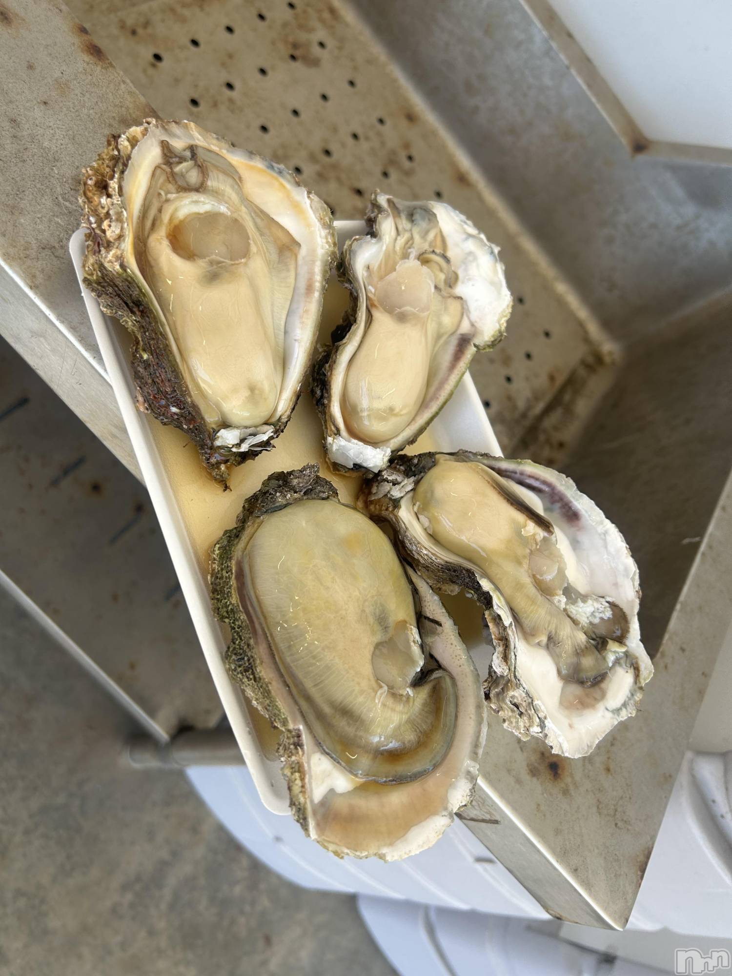 ��ˬ����Х��顦�����CLUB K����Prologue��(����֥���) ��2025ǯ10��6���̥�֥����������ڥ����🦪( '-' 🦪 )��