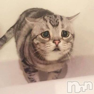 ��ˬ����Х��顦�����CLUB K����Prologue��(����֥���) ��ë �椤��6��23���̥�֥�����(♥)��