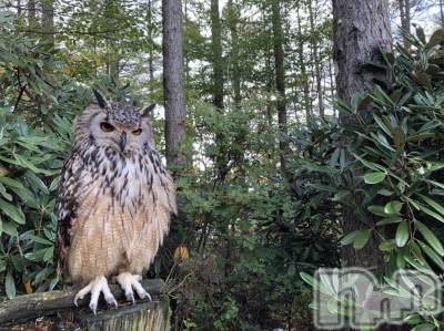 ��ˬ����Х��顦�����CLUB K����Prologue��(����֥���) ��ë �椤��8��17���̥�֥�����(♥)��