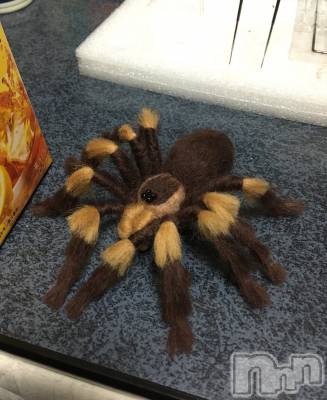 ��ˬ����Х��顦�����CLUB K����Prologue��(����֥���) ��ë �椤��8��20���̥�֥�����(♥)��