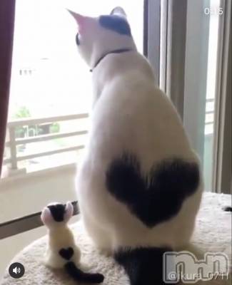 ��ˬ����Х��顦�����CLUB K����Prologue��(����֥���) ��ë �椤��8��22���̥�֥�����(♥)��