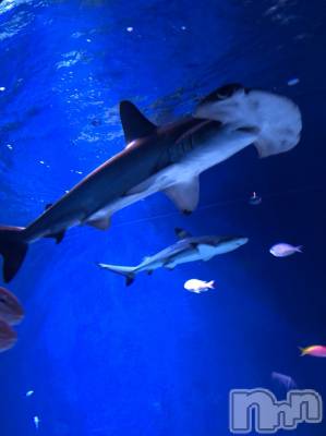 ��ˬ����Х��顦�����CLUB K����Prologue��(����֥���) ��ë �椤��9��25���̥�֥�����(♥)��