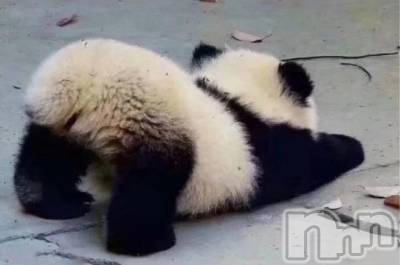 ��ˬ����Х��顦�����CLUB K����Prologue��(����֥���) ��ë �椤��11��1���̥�֥�����(♥)��