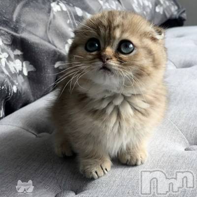 ��ˬ����Х��顦�����CLUB K����Prologue��(����֥���) ��ë �椤��12��9���̥�֥�����(♥)��