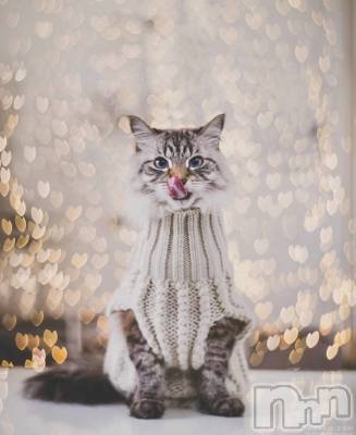 ��ˬ����Х��顦�����CLUB K����Prologue��(����֥���) ��ë �椤��2��22���̥�֥�����(♥)��