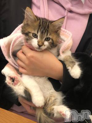 ��ˬ����Х��顦�����CLUB K����Prologue��(����֥���) ��ë �椤��3��16���̥�֥�����(♥)��