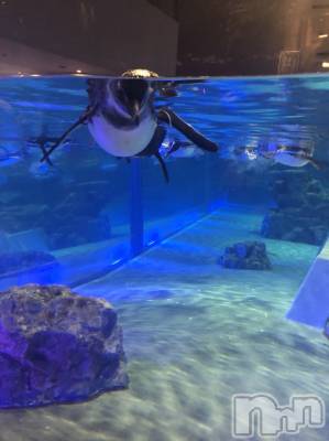 ��ˬ����Х��顦�����CLUB K����Prologue��(����֥���) ��ë �椤��3��27���̥�֥�����(♥)��