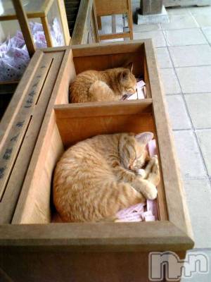 ��ˬ����Х��顦�����CLUB K����Prologue��(����֥���) ��ë �椤��4��3���̥�֥�����(♥)��