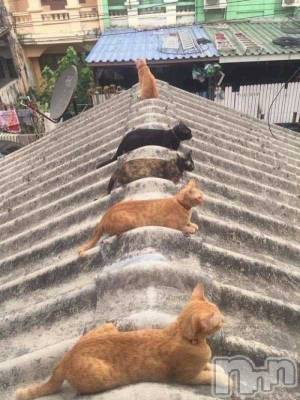 ��ˬ����Х��顦�����CLUB K����Prologue��(����֥���) ��ë �椤��6��15���̥�֥�����(♥)��