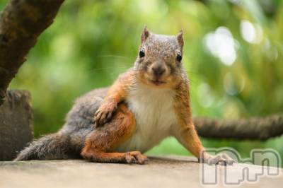 ��ˬ����Х��顦�����CLUB K����Prologue��(����֥���) ��ë �椤��6��19���̥�֥�����(♥)��