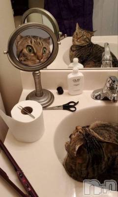 ��ˬ����Х��顦�����CLUB K����Prologue��(����֥���) ��ë �椤��8��27���̥�֥�����(♥)��