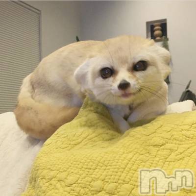 ��ˬ����Х��顦�����CLUB K����Prologue��(����֥���) ��ë �椤��6��27���̥�֥�����(♥)��