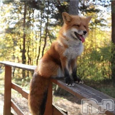 ��ˬ����Х��顦�����CLUB K����Prologue��(����֥���) ��ë �椤��6��30���̥�֥�����(♥)��