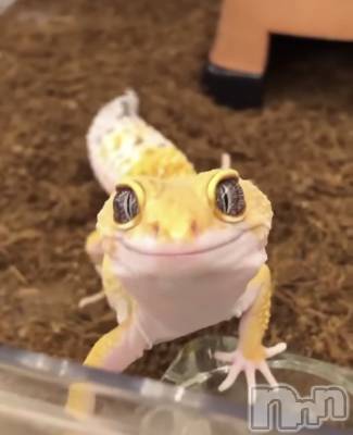 ��ˬ����Х��顦�����CLUB K����Prologue��(����֥���) ��ë �椤��8��17���̥�֥�����(♥)��