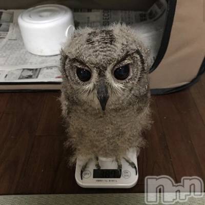 ��ˬ����Х��顦�����CLUB K����Prologue��(����֥���) ��ë �椤��8��22���̥�֥�����(♥)��