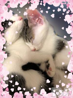 ��ˬ����Х��顦�����CLUB K����Prologue��(����֥���) ��ë �椤��8��3���̥�֥�����(♥)��