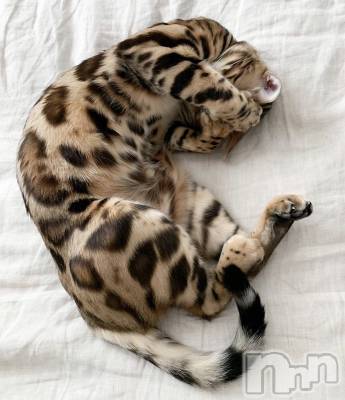 ��ˬ����Х��顦�����CLUB K����Prologue��(����֥���) ��ë �椤��9��16���̥�֥�����(♥)��