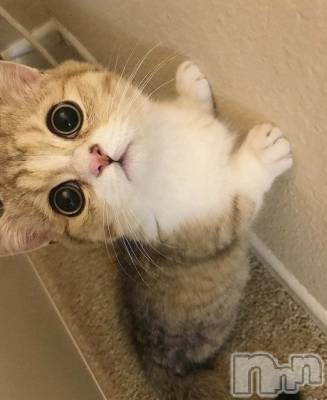 ��ˬ����Х��顦�����CLUB K����Prologue��(����֥���) ��ë �椤��10��19���̥�֥�����(♥)��