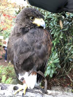 ��ˬ����Х��顦�����CLUB K����Prologue��(����֥���) ��ë �椤��11��2���̥�֥�����(♥)��