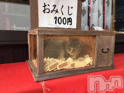 ��ˬ����Х��顦�����CLUB K����Prologue��(����֥���) ��ë �椤��11��5���̥�֥�����(♥︎︎)��