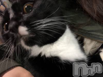 ��ˬ����Х��顦�����CLUB K����Prologue��(����֥���) ��ë �椤��11��18���̥�֥�����(♥)��