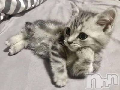 ��ˬ����Х��顦�����CLUB K����Prologue��(����֥���) ��ë �椤��12��1���̥�֥�����(♥)��