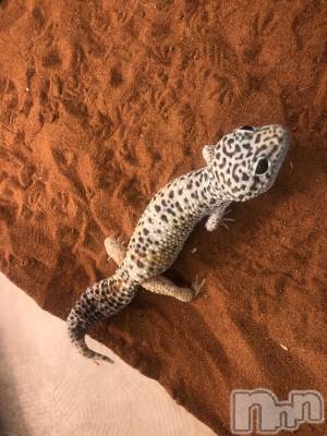 ��ˬ����Х��顦�����CLUB K����Prologue��(����֥���) ��ë �椤��1��24���̥�֥�����(♥)��