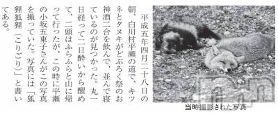 ��ˬ����Х��顦�����CLUB K����Prologue��(����֥���) ��ë �椤��4��1���̥�֥�����(♥)��