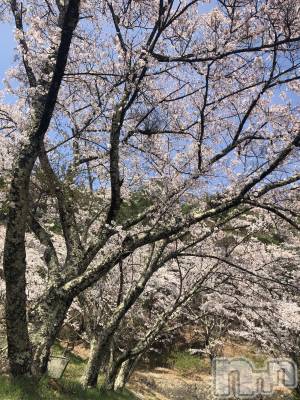 ��ˬ����Х��顦�����CLUB K����Prologue��(����֥���) ��ë �椤��4��21���̥�֥�����(♥)��