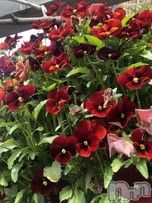 ��ˬ����Х��顦�����CLUB K����Prologue��(����֥���) ��ë �椤��4��30���̥�֥�����(♥)��