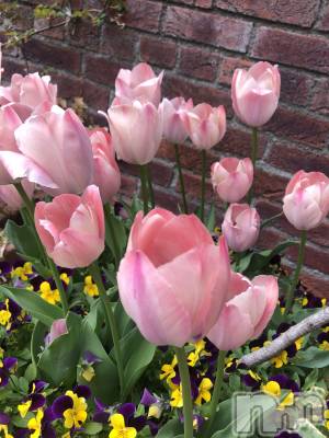 ��ˬ����Х��顦�����CLUB K����Prologue��(����֥���) ��ë �椤��5��16���̥�֥�����(♥)��