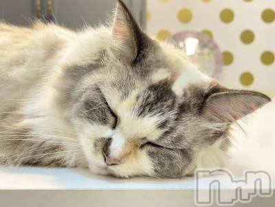 ��ˬ����Х��顦�����CLUB K����Prologue��(����֥���) ��ë �椤��9��20���̥�֥�����(♥)��