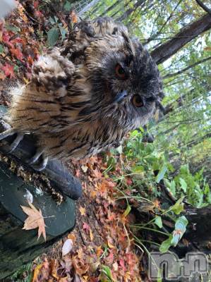 ��ˬ����Х��顦�����CLUB K����Prologue��(����֥���) ��ë �椤��3��23���̥�֥�����(♥)��