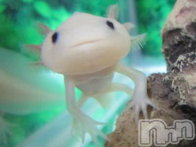 ��ˬ����Х��顦�����CLUB K����Prologue��(����֥���) ��ë �椤��5��15���̥�֥�����(♥)��