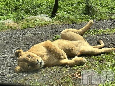 ��ˬ����Х��顦�����CLUB K����Prologue��(����֥���) ��ë �椤��3��6���̥�֥�����(♥)��