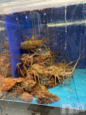 ��ˬ����Х��顦�����CLUB K����Prologue��(����֥���) ��ë �椤��6��11���̥�֥�����(♥)��