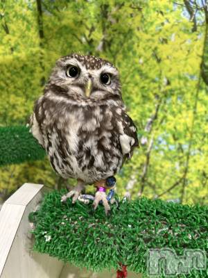 ��ˬ����Х��顦�����CLUB K����Prologue��(����֥���) ��ë �椤��6��13���̥�֥�����(♥)��