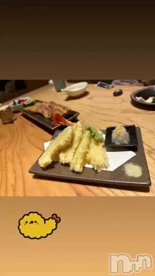 ŷ���塣