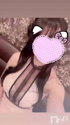 ������(0ᐟ.0ᐟ🎀)