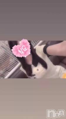 ��֦�(�ߧՎߡ�)