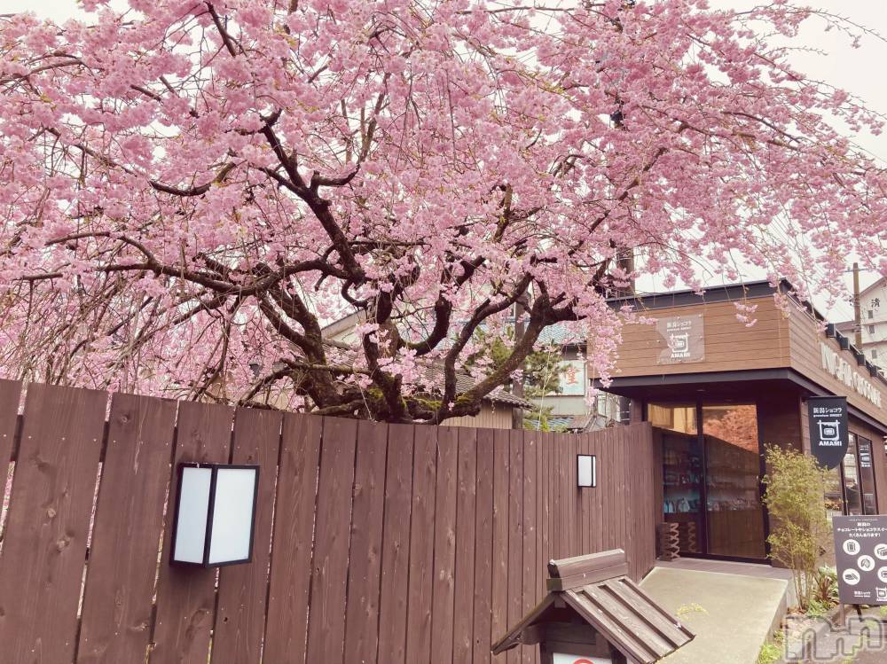長岡デリヘル長岡人妻市(ナガオカヒトヅマイチ) ゆうみ★キレイな奥様はお好き？(32)の4月18日写メブログ「間に合いました」
